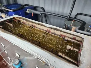 Melting of solar salts